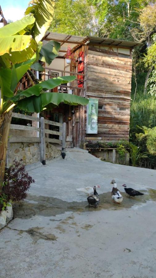Hotel Selva Verde Salento Exteriér fotografie