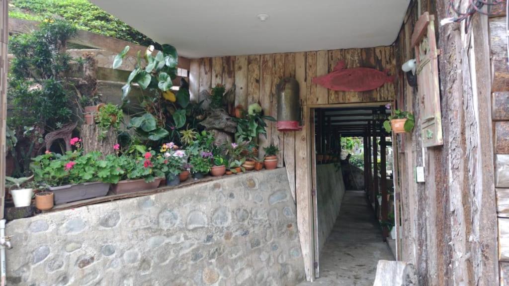 Hotel Selva Verde Salento Exteriér fotografie