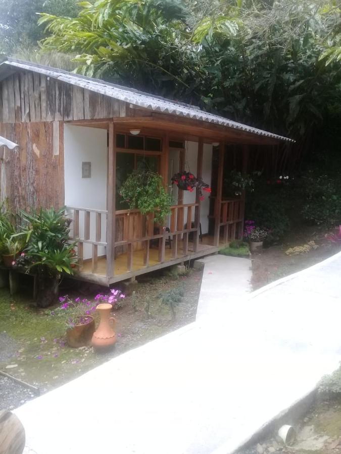 Hotel Selva Verde Salento Exteriér fotografie