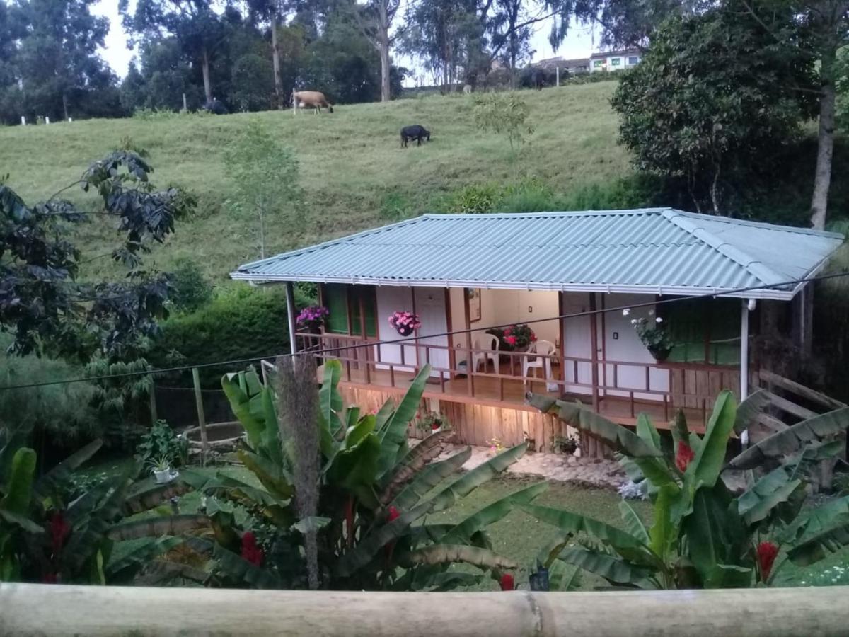 Hotel Selva Verde Salento Exteriér fotografie